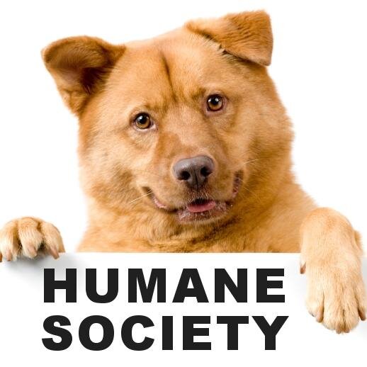 The Humane Society of Northwest Montana is a no-kill adoption center for homeless cats and dogs awaiting adoption. Find your new best friend here!