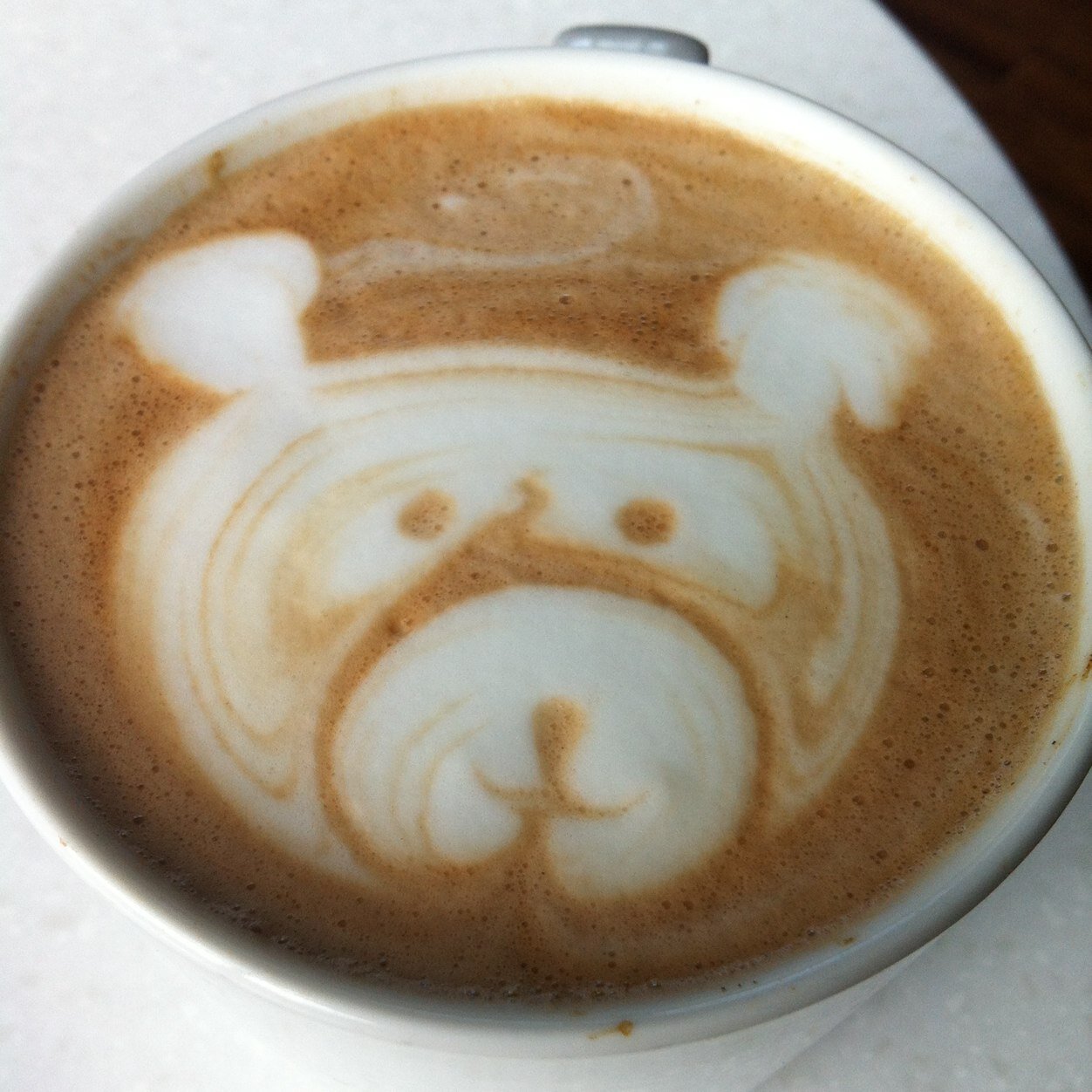 choybacca's profile picture. 