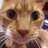 MeowChessie's profile image