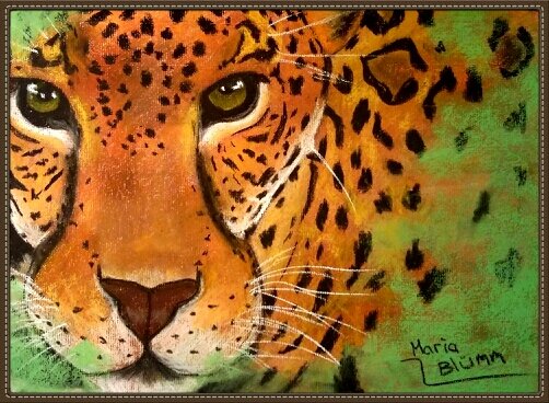 pinturaesvida's profile picture. Con un lapiz y un pincel la vida se puede ver de muchos colores. follow me on instagram: pintura_vida