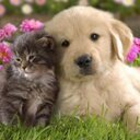 Celeste Salazar - @SalazarCsa - Twitter