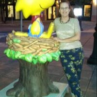 Clare Seche🌊🌊🌉🌈🎶📓🐱🐬⚾😇#resist (@clareseche333) 's Twitter Profile