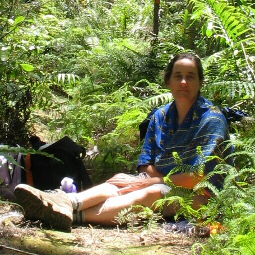 TaiNui3's profile picture. Kiwi ex-pat member of Deep C Divas; singing, knitting, sewing and cake decorating techno nerd; novice gardener and jazzer; ex-geneticist: He waka eke noa