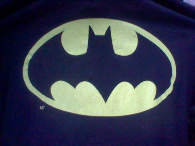 I'm batman!!! I'm also awesome. #awesomeness I'm also a ninja on the side. When I'm not batman or being a ninja I'm an magical unicorn. I'm just that awesome!