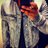The_FSC_'s profile image