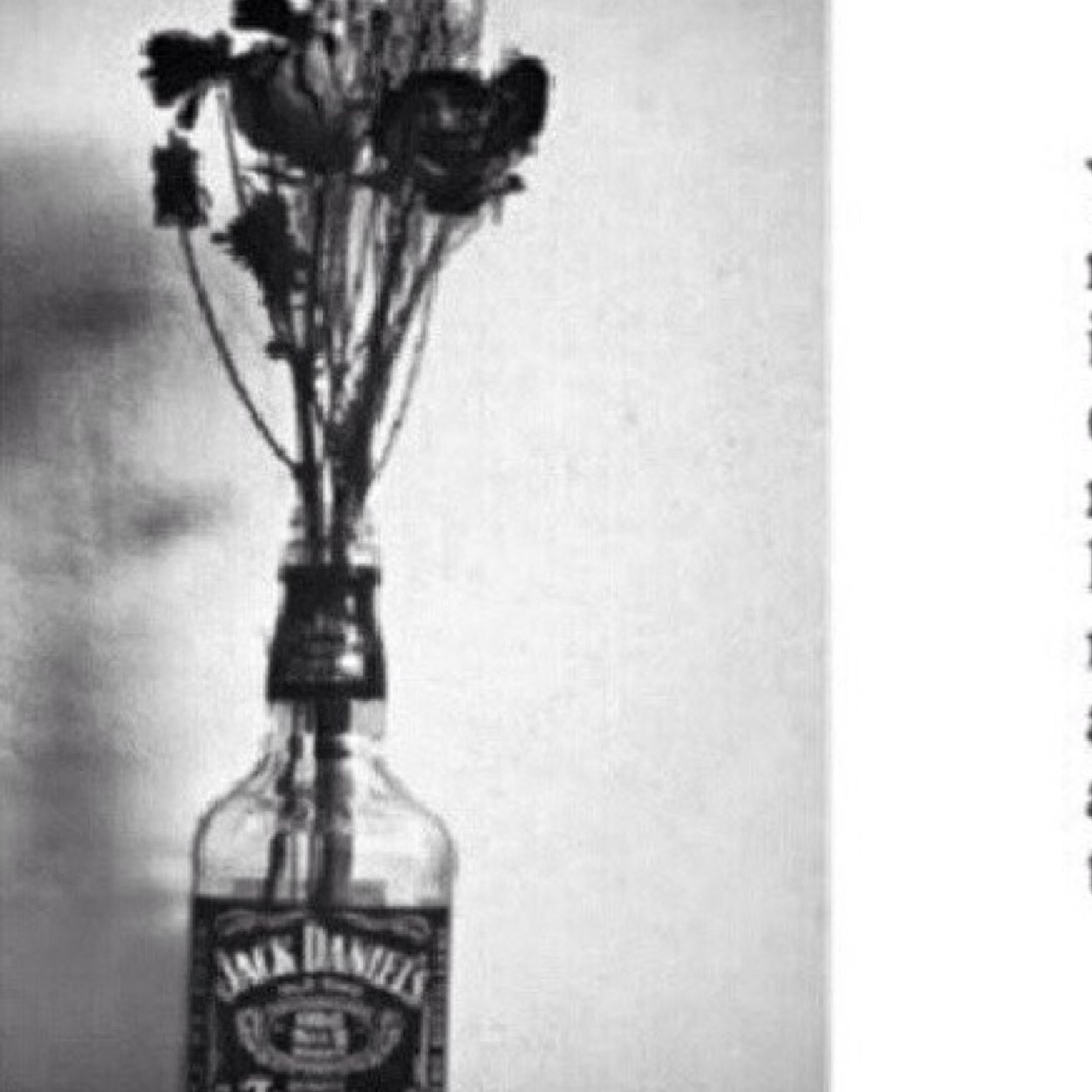 sadiscool's profile picture. 