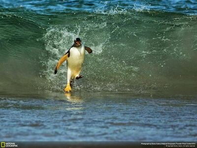 almex80's profile picture. 