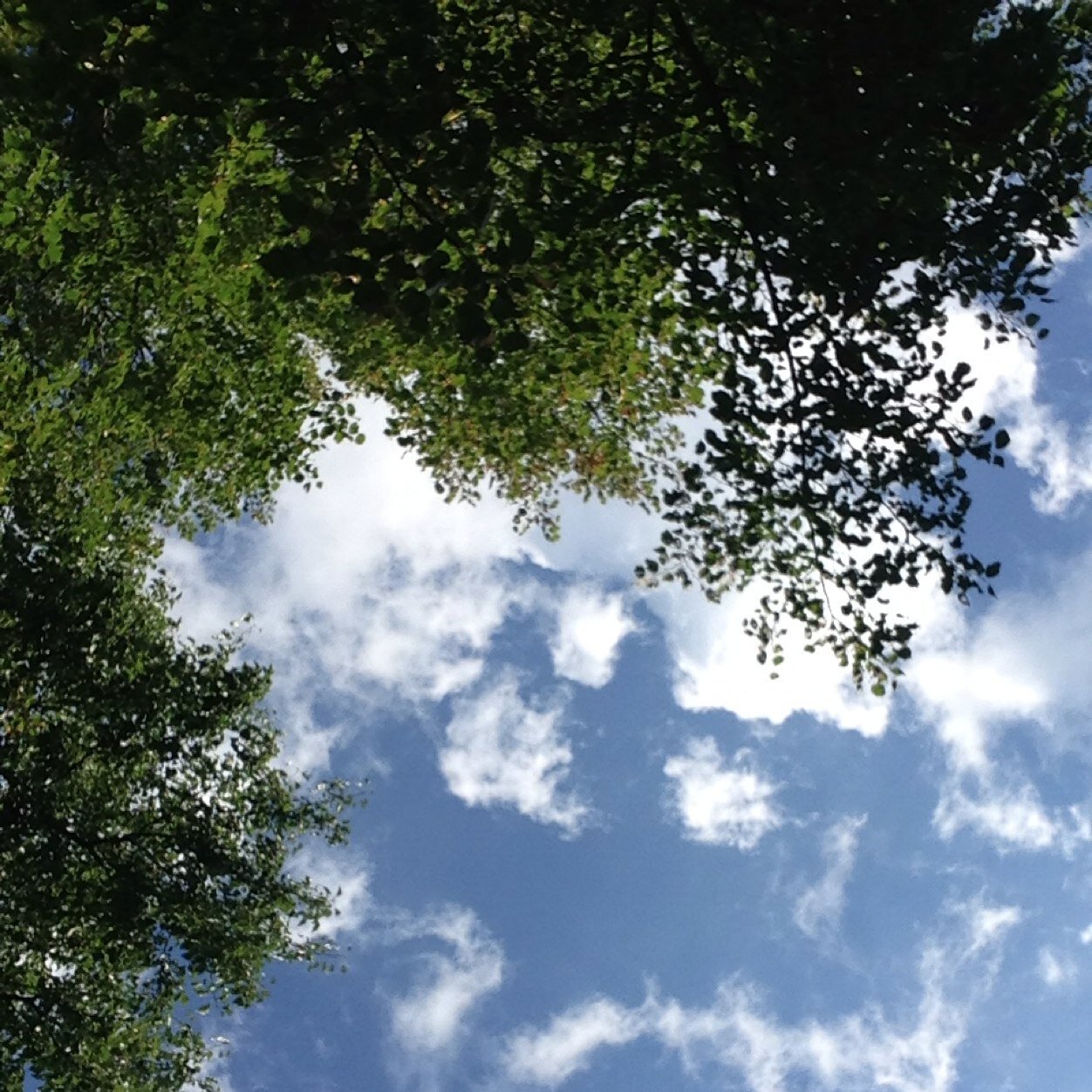 JustDavidd_'s profile picture. closed///