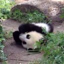 Sharon Visser - @visser_sharon - Twitter