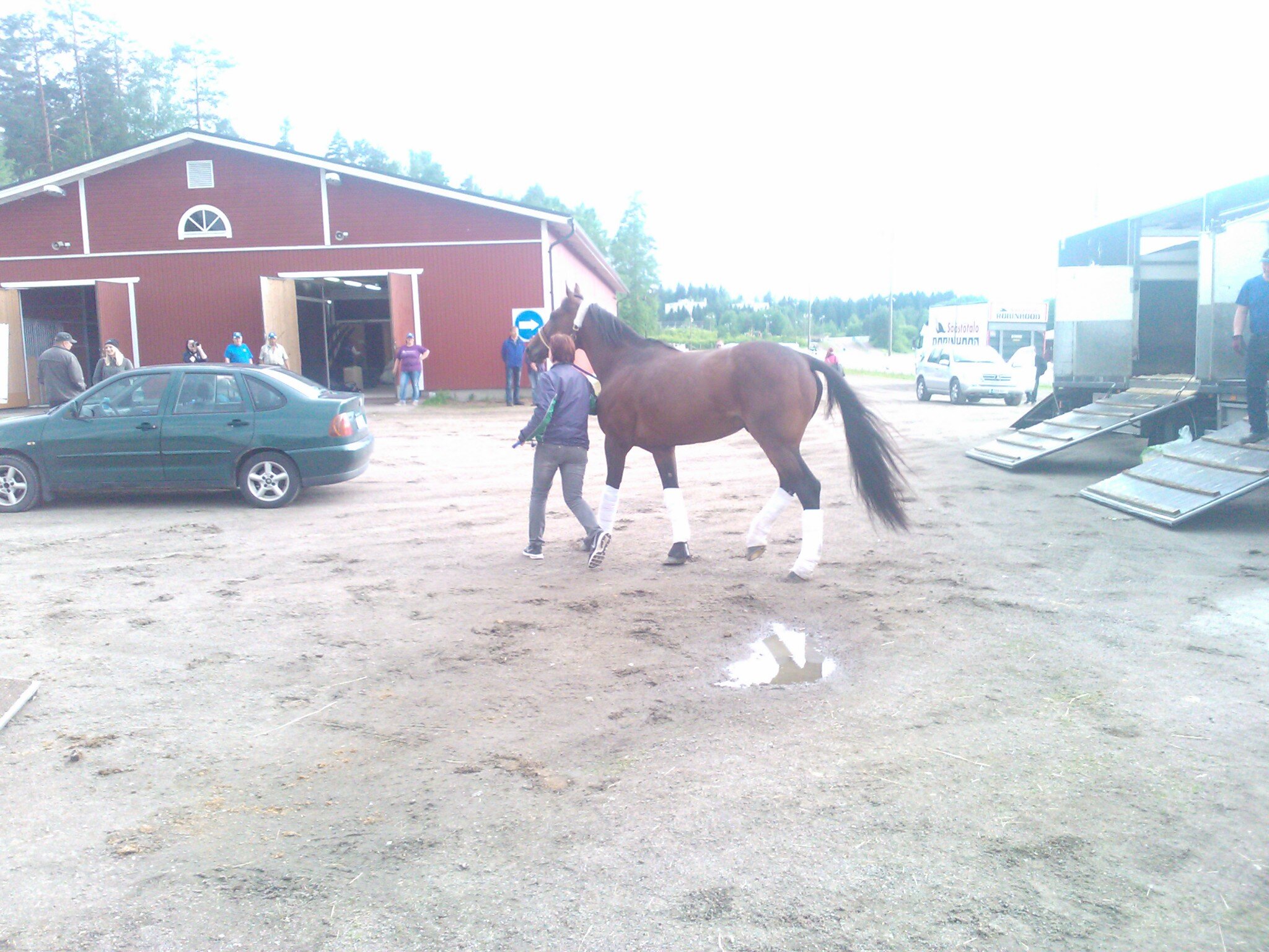 Pelliseppa's profile picture. Kalastaja, Totooja, Kumityäntekijä ja Metallimusiikin suurkuluttaja...