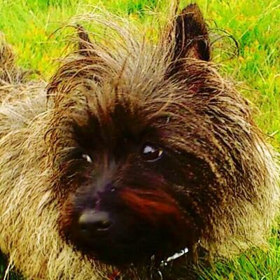 AlexMckendrick4's profile picture. Carer