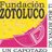 FUNDAZOTOLUCO's profile image