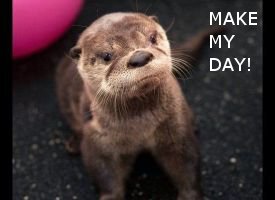 Pamip01's profile picture. 