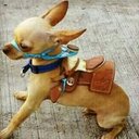 Julio cesar tavarez  - @tavarezgarza - Twitter