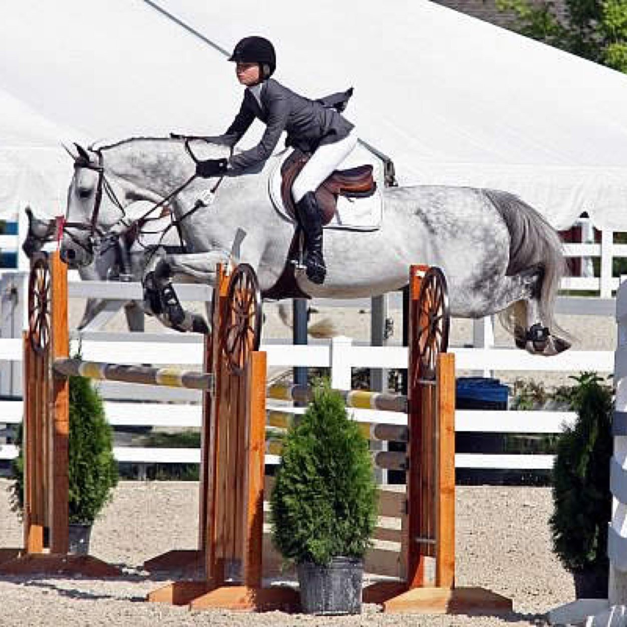 eq_central's profile picture. Baby eq anon just trying to make my way in the horse world///thick thighs good vibes