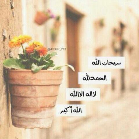 بوفيلك وربي شاهد