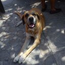 marcel delgado coral - @marceldelco - Twitter