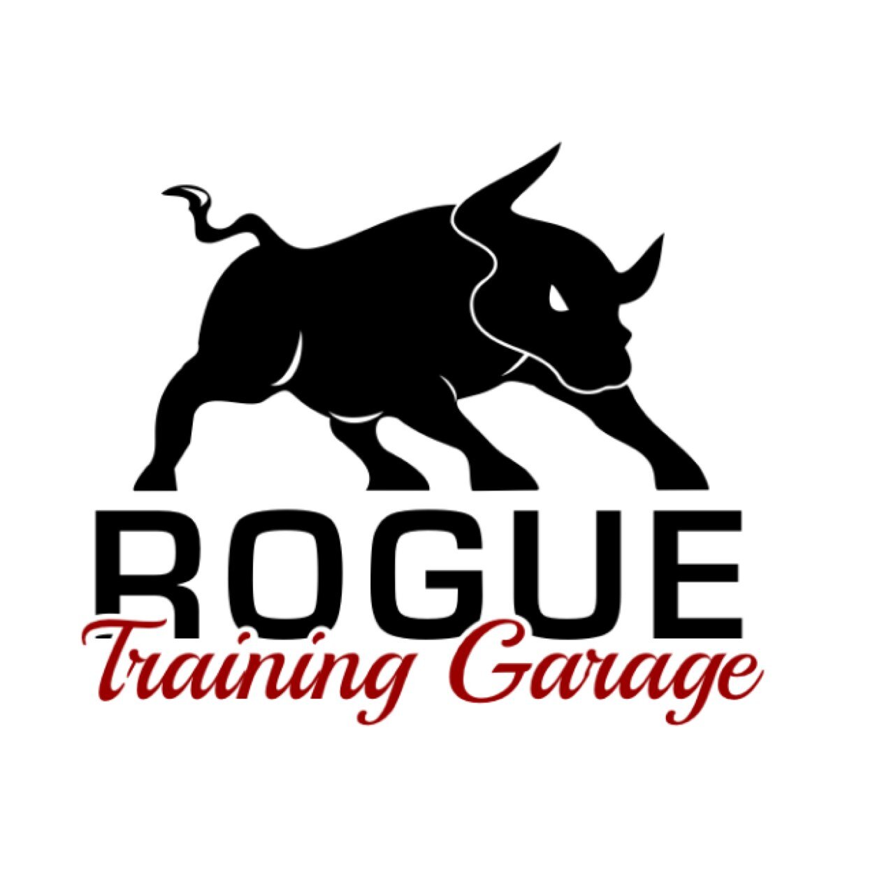 WayneFitness1's profile picture. Forget trying... Be a fucking bull and smash obstacles in your way!   Apologize after:)