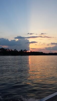 gamecock76's profile picture. 