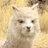 AndroidNewbie1's profile image