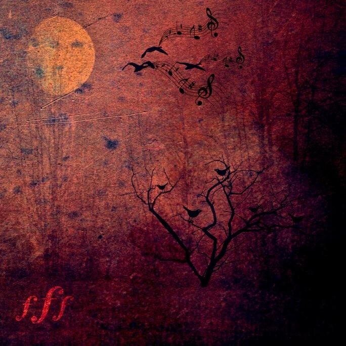 Fantasma Fortissima is instrumental music project with experimental avant-garde orientation.