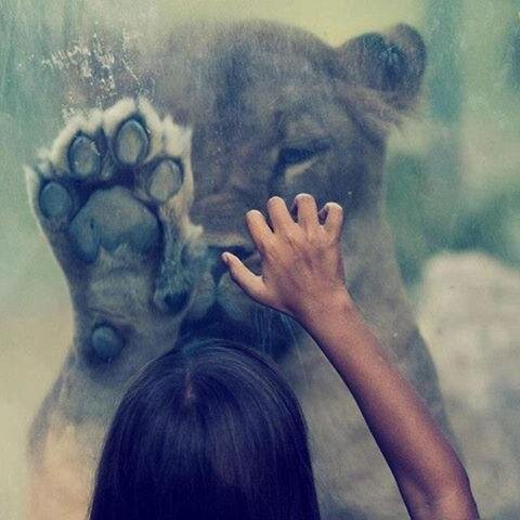 sycnation's profile picture. 