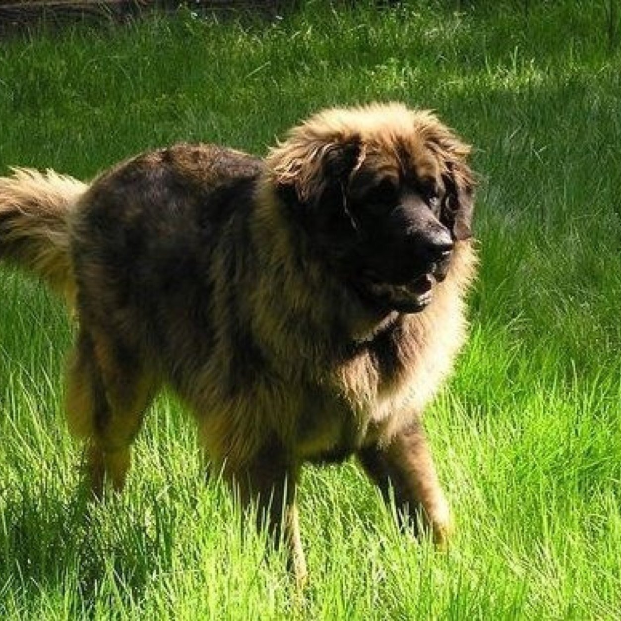 williamcfoster's profile picture. Environmental attorney, NOLS alum, with interest in Social Justice, Outdoor Education, Oceans, Mountains . . . and ⚽️