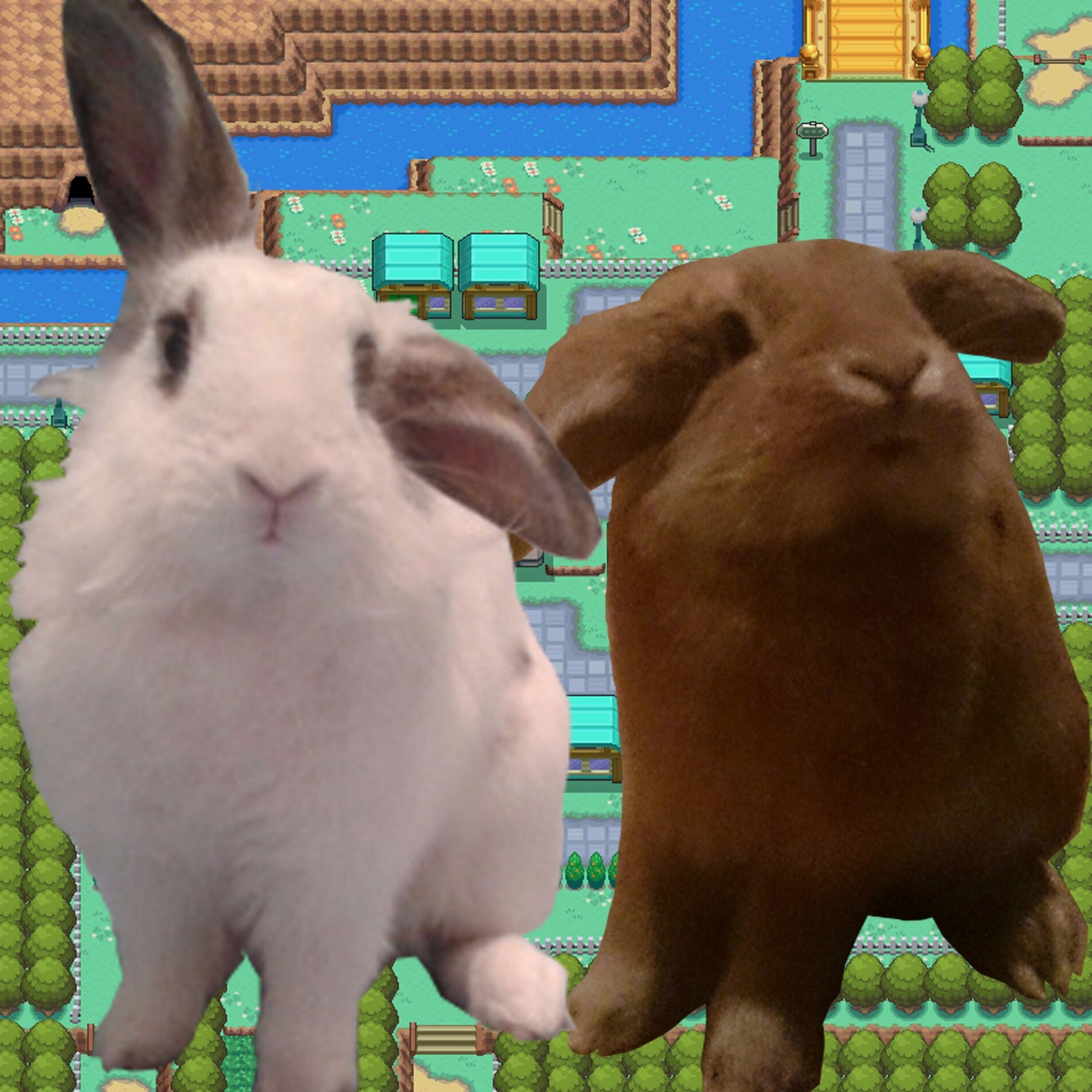 Youtubers defensores de los roedores, actores y gamers profesionales