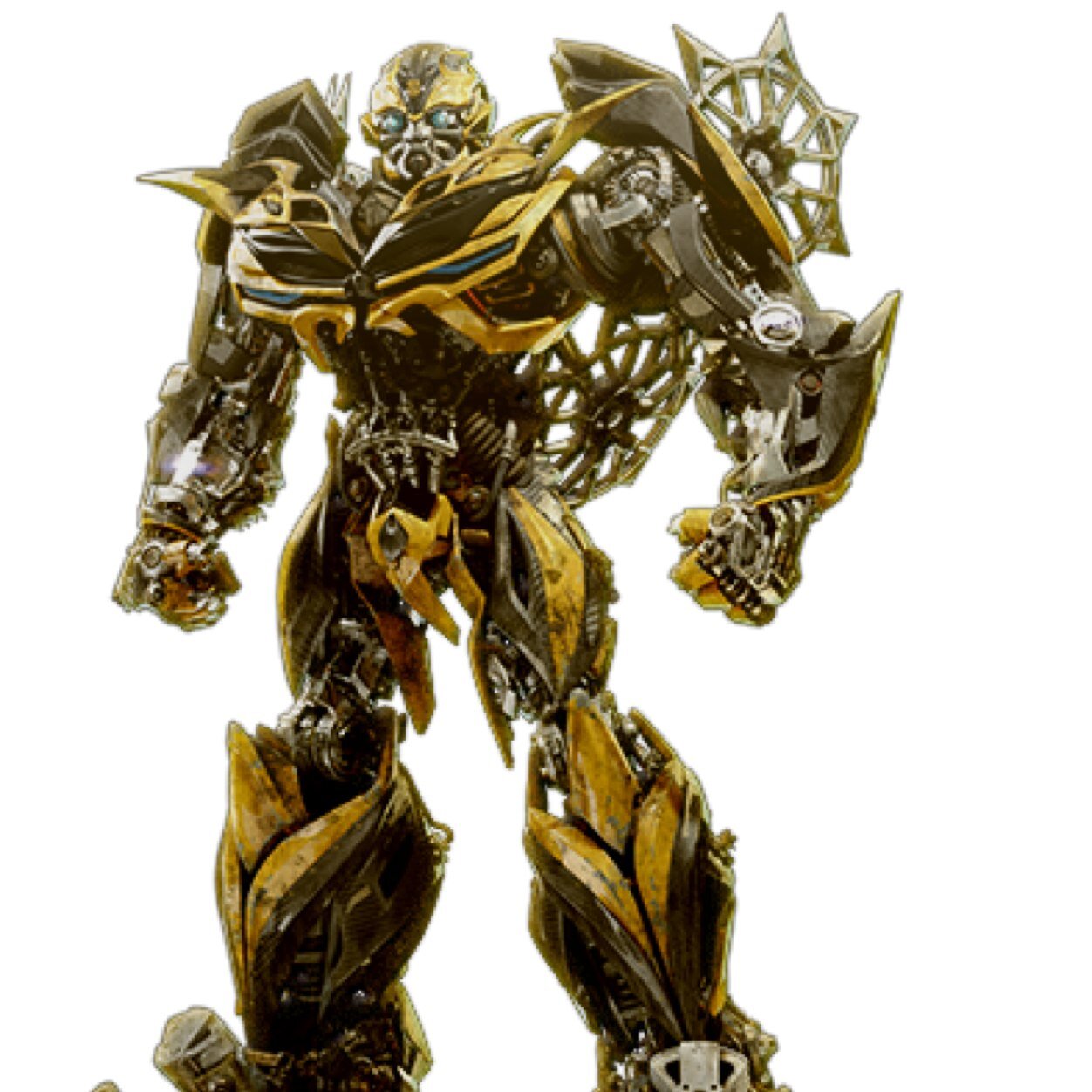 Names bumblebee im from the planet cybertron i will protect planet earth and its species with my life. Father: Actual_OptimusP