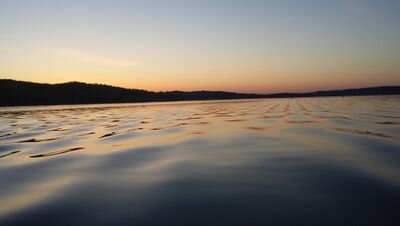 drewaaw's profile picture. 