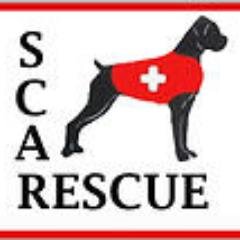 Second Chance Animal Rescue is a 501(c)3 non-profit org. Our mission is to rescue, rehabilitate and secure homes for abandoned and abused dogs in Puerto Rico.
