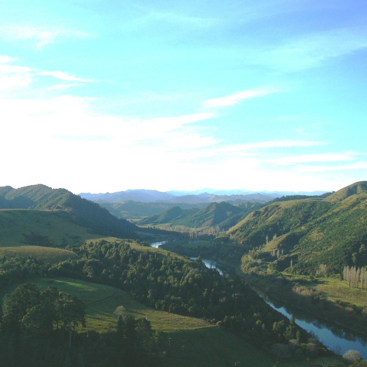 WHanganui💗Ngāti Pāmoana💗Ngāti Hinemihi