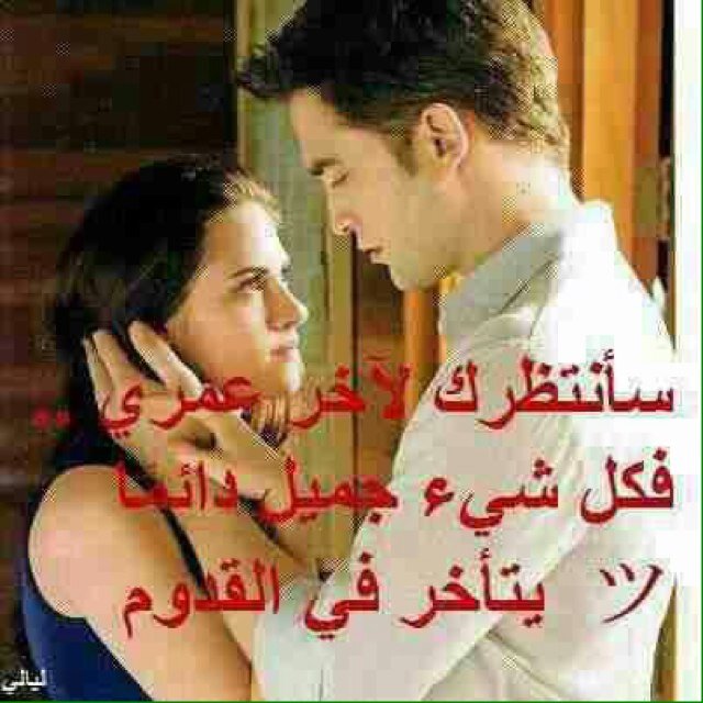 safdi_mouts's profile picture. 