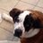 Heather52228's profile image