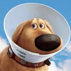 Team_Squirrel's profile picture. 