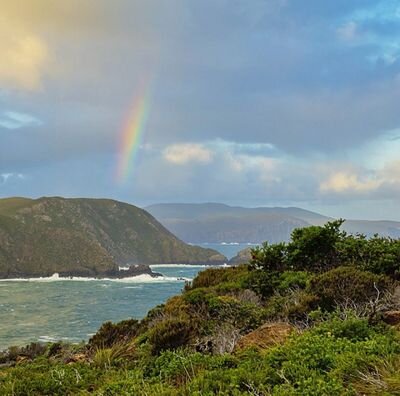 AhmedAlqarne's profile picture. ‏‏‏‏‏هنا ما فيه شئ ارجع يسار☺