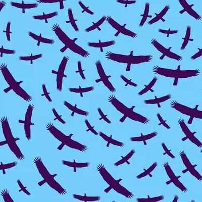 Somos una república fundada por caranchos que entendemos que la vida esta hecha para pasarla bien
