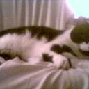 Art_Hodges - @Art_Hodges - Twitter