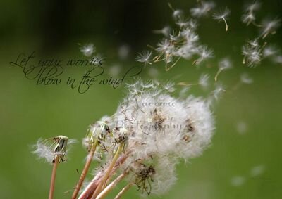 I am a stay at home mom as well as a photographer, that offers affordable and creative on-location photo sessions.