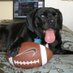 S dogg (@marlay247) Twitter profile photo S dogg (@marlay247) Twitter profile photo