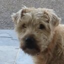 Derek Sheehan - @DerekScsc - Twitter