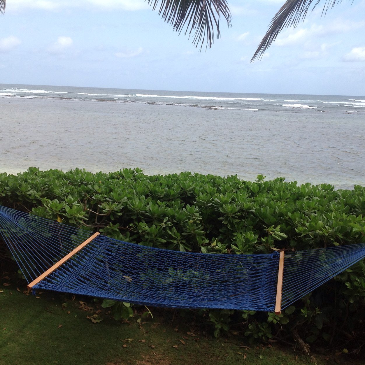 VacationSuccess's profile picture. Vacations are our reward for hard work. Spend your time…and your money on the best vacation possible. We’ll help. Yep, we want to help your vacation be a succes