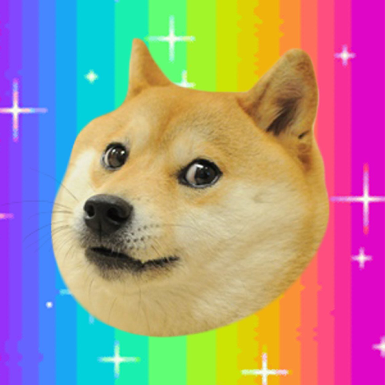 Mr. Doge @narcoleptic_dog  Twitter