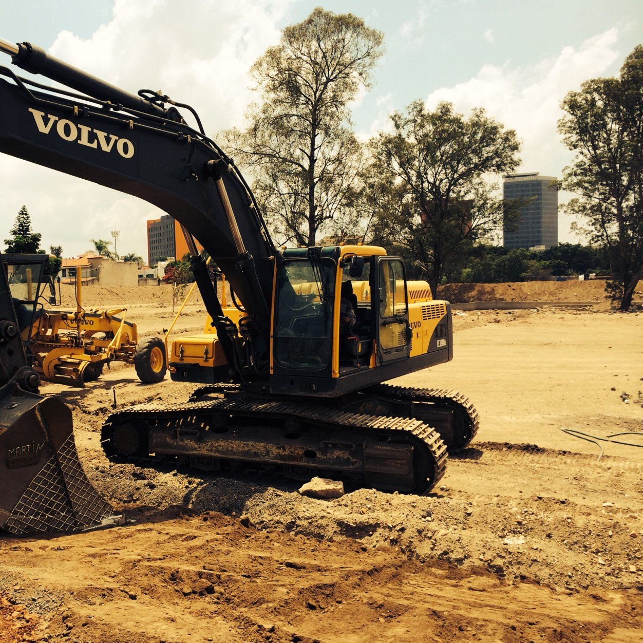 geodinamico's profile picture. 