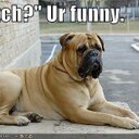 sarah plank - @sarahplanky1 - Twitter