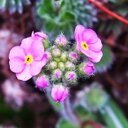 houki8931's profile picture. 