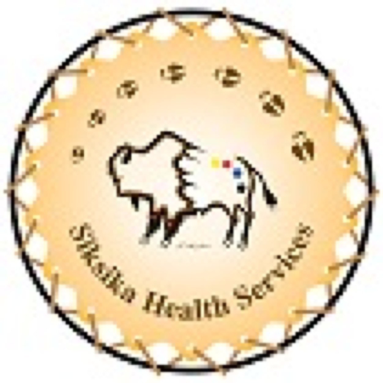 Chief Executive Officer - Siksika Health Services / President - First Nations Health Consortium /Founder SN7 / College of Physicians & Surgeons of Alberta / CAH