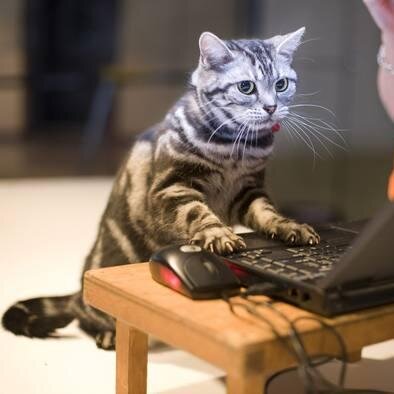 beneu87's profile picture. 