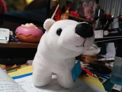 しぬぅがだーいすきです♡
韓バナ