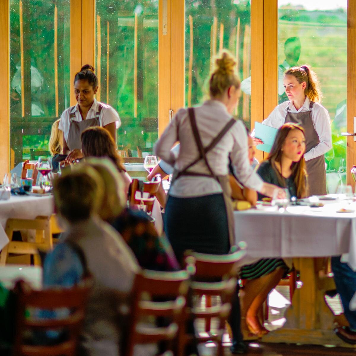 Philippe_mqt's profile picture. Chef’s Hat  - Panoramic views - 
Contemporary French/Australian 
 - Gourmet Traveller Best Regional Wine List of the Year  2009